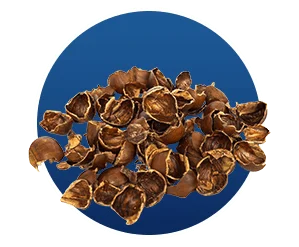 Cascara Sagrada Bark SEO