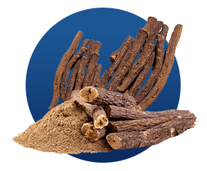 Licorice Extract SEO