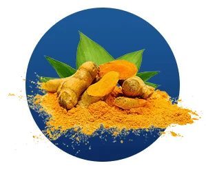Turmeric Curcumin Extract SEO